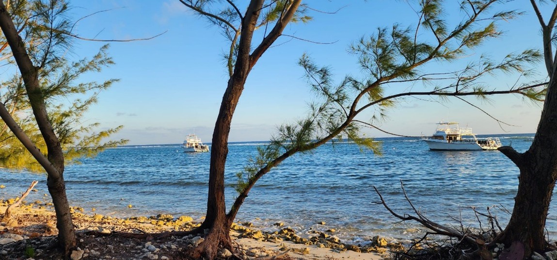 Environmental Sustainability Cayman Brac